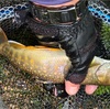渓魚は吸込みと噛みつきで捕食する（源流釣りからの考察）