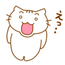 生活のスパイス！ごちゃ混ぜ雑記で見つける小さな幸せ