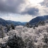 【箱根の旅】ショートトリップの最適解