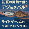 初夏の舞鶴で狙うアジ＆メバル！ライトゲームのベストタイミングは？