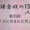 鎌倉殿の13人 第25回 源頼朝の長い1日 ついに落馬す