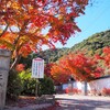 錦帯橋近くの紅葉＠岩国／紅葉谷公園