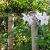 衣替え・模様替えの１０月
