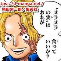 ワンピース考察 扉絵 コミックス表紙に隠されたヤバい伏線13選まとめ ポスター One Piece ドル漫