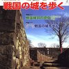 歴史読本2007年5月号 戦国の城を歩く／新人物往来社