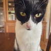 自由で美しい自分として生きてみる。