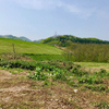 滝ノ沢沈殿池（秋田県大館）