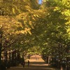 撮影：昭和記念公園