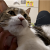 きなこもちの成長記録165