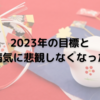 2023年の目標と心の病気を悲観しない自分に目覚めた今。