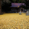 多里神社境内も銀杏の絨毯