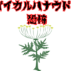 【バイカルハナウド】世界一危険な植物とは⁉