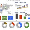 未来への燃料供給: バイオエネルギー市場の重要性の高まりと現在の傾向と分析に基づくその使用法