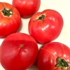 トマト