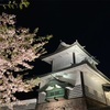 ライトアップ夜桜　2024年4月14日