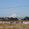 2011/2/13の釣果