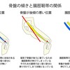 復活の糸口