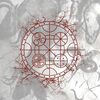 今週のSpotify～Rerease Radar～