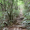 処暑に入る三辻独り遊山　帰り道