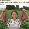 「サツマイモとかけて，『ピュアな恋愛』と解きます」 「その心は，『ゆっくり温めた方が，甘〜くなりますよ』」by 平泉成さん in NHKBSプレミアム　食材探検 おかわり！にっぽん   / サツマイモの保存 /  “チンいも”とβアミラーゼ & デンプンの糊化 / サツマイモはもともと甘い　/  イモの分類 