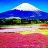 深夜のNHK、美しき日本の山々