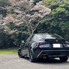 FD IS300と桜(2024)