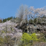 檜原村～あきる野市を回ってきました～～♪
