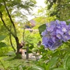 清水寺のお話。
