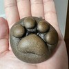 銘菓なごにゃんは美味しくて可愛いなー