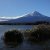 富士山（河口湖）