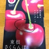 さくらんぼ🍒