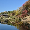 🍂肥後細川庭園　絶品の紅葉になりました😊