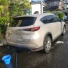 洗車、洗車、そして洗犬。