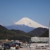 伊豆長岡 再びの温泉旅行（2014/3/20～21）その2（終）