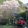 豊後中川駅・北山田駅・旧豊後森機関庫　～久大本線の桜