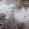 水たまりを覗くと自分の顔が見える／近状