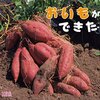 食欲の秋！いもほりにピッタリの絵本『おいもができた』