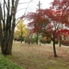 今週の三田・里山キャンパス（572）：紅葉、見ごろです