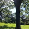 お気に入りの場所。