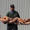 龍神彫り　ほぼ完成