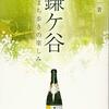 What will it be like?の意味