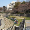 ちょっと早かった花見