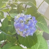 概念って、どこからやってくるのだろうか？