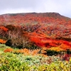 栗駒山は紅葉真っ盛り