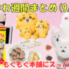 【ちいかわ週間まとめ】2025年9月第2週｜ナガノマーケット新商品＆ぬいぐるみくじ発売日まとめ・スッパイマン梅＆もぐもぐ本舗も！