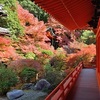 毘沙門堂の紅葉2020、見頃や現在の状況。ライトアップなし。