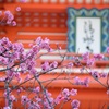 京都のお寺と神社と風景と Day.1