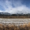 2020/12/26 土曜日　雪が降る