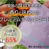 ロシアン　かか　子猫用のご飯  おすすめ