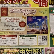 ディズニーチケット カテゴリーの記事一覧 すきま時間に懸賞生活